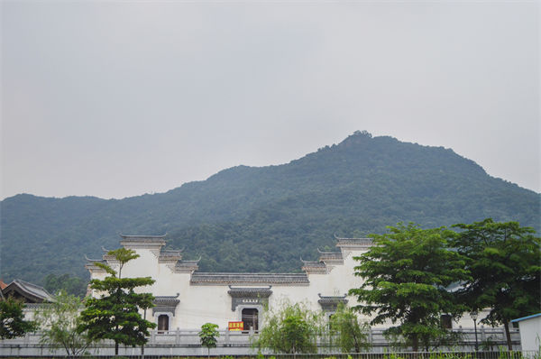 子公司各自为战内耗大，佛山集团管控咨询公司有何整合之道？