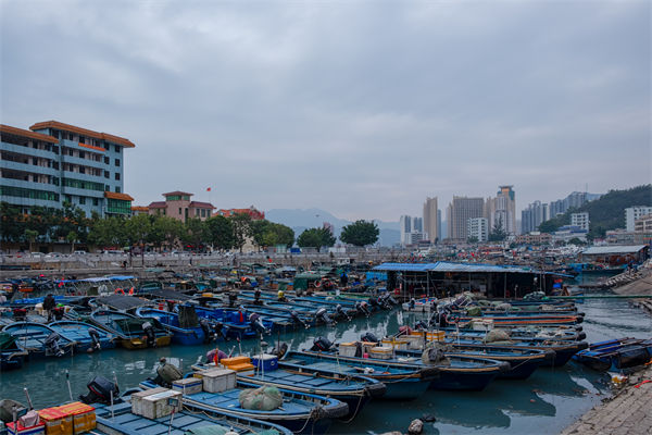 精益生产分析:开海第一网捞8000斤,船长合不拢嘴 精益生产分析:开海第一网捞8000斤,船长合不拢嘴