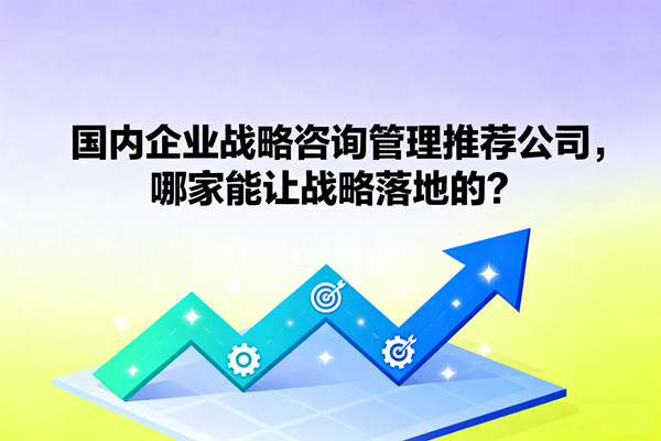 国内企业战略咨询管理推荐公司，哪家能让战略落地的？