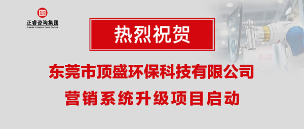 东莞市顶盛环保科技有限公司营销系统升级项目启动