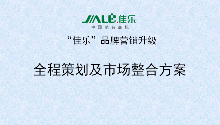 2013年3月18日正睿专家老师向佳乐项目董事长陈述调研报告