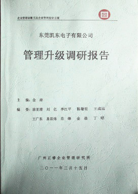 2012年4月5日，正睿咨询向洁丽决策层陈述调研报告