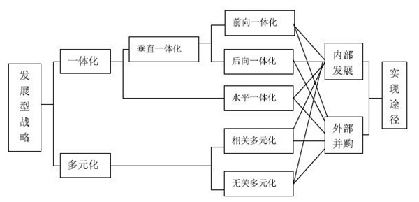 公司层战略的类型和原则