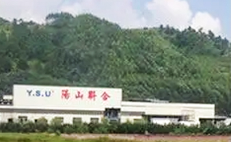 2009年6月19日—2009年12月18日广东阳山联合铸造有限公司推行全面管理升级