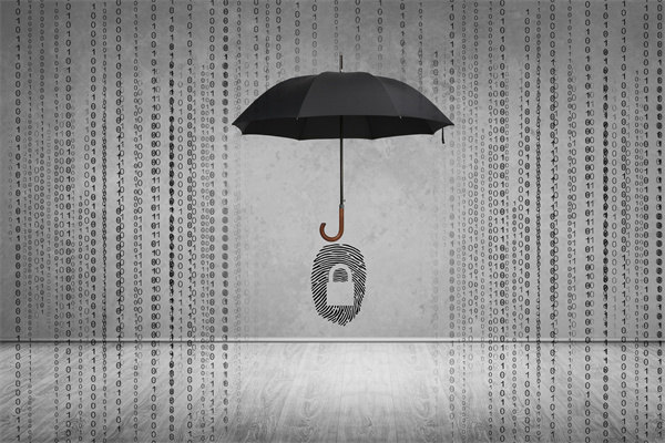 供应链管理中的数据隐私与安全