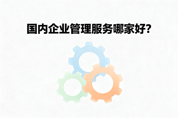 国内企业管理服务哪家好？