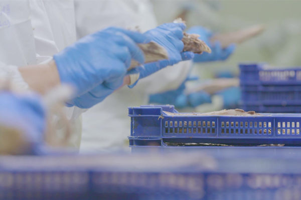 本土驻厂精益生产咨询哪家强，能快速提升产线流转效率么？