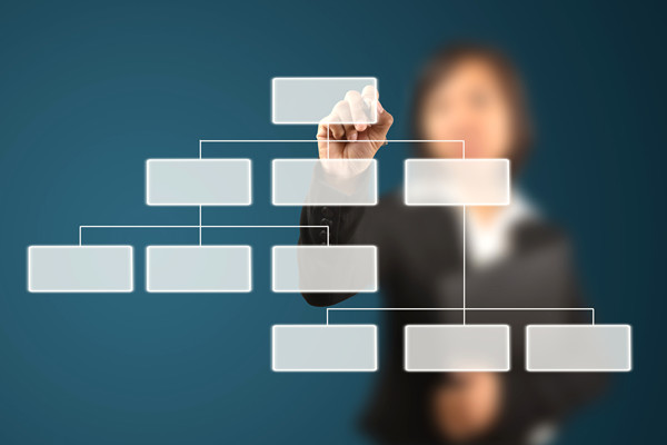 哪家组织规划咨询公司落地最好，能搭建适配发展的组织体系？