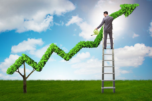 工厂企业战略管理咨询推荐公司，能助力长期规划吗？